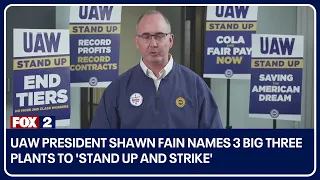 UAW President Shawn Fain names 3 Big Three plants to 'stand up and strike'