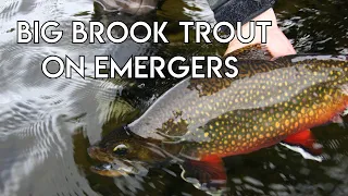 Giant Brook Trout on Emergers | Labrador