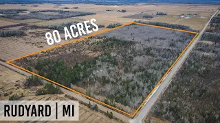 $89,900 | 80 Acres | W Ploegstra Rd, Rudyard, MI - Century 21 Trophy Class