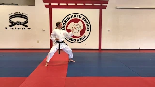 Randori Kumite Ni