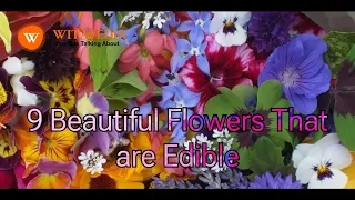 9 Beautiful Flowers That are Edible - @Witapedia