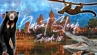 Cozy in Cambodia Relaxing Sleep Story Soothing Music & Nature Sounds - Planet Sleep Podcast 18