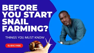 What You Need to Know Before Starting Snail Farming