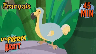 Retour dans le passé animal | Saison 3 [épisodes complets] Les Frères Kratt