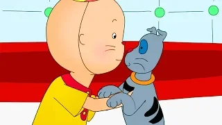 Caillou loves Gilbert | Videos For Kids | Funny Animated Videos For Kids