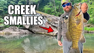 CREEK FISHING for BIG SMALLMOUTH BASS - Ohio River Tributary