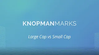 What is the Difference Between Large Cap Vs Small Cap?