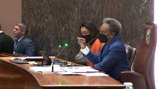 'You Are a Liar!': City Council Meeting Sees Heated Exchange Between Mayor Lightfoot and Alderman