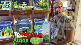 APT Algae Fix Review By Aqua² Lab || How To Remove Algae