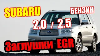 Subaru Forester Удаление клапана Егр и вторичной подачи воздуха.