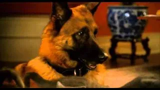 Cats & Dogs - Die Rache der Kitty Kahlohr  - Trailer German / Deutsch