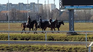 Одесский ипподром 6 января 2021 года