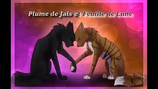 AMV Plume de Jais et Feuille de Lune - Et si c'était Lui