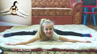 Повторяю гимнастические ЙОГА позы за животными/ЧЕЛЛЕНДЖ ЖИВОТНЫМИ/YOGA CHALLENGE the Best Challenges