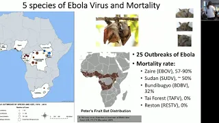 Ebola in Democratic Republic of Congo: latest update of the current outbreak