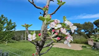 Вот и АПРЕЛЬ на дворе.Зелено и какая же ЛЕПОТА кругом!