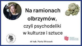 Na ramionach olbrzymów, czyli psychodeliki w kulturze i sztuce - dr hab. Marta Wrzosek