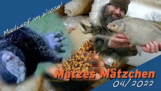 Matze Koch: Mit Maulwurf auf alles! - Matzes Mätzchen 04-2022