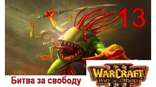 WarCraft III. Way of Others. Битва за свободу. Часть 13 - "Замес в Ашенвале"
