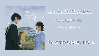 [Instumental] You Are My Only Wish (你是我此生唯一所愿) - Zhang Bichen (张碧晨) | Hidden Love OST | 偷偷藏不住