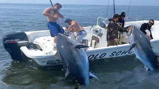 How To Giant Fishing Bluefin Tuna 250kg On the Sea - Amazing Leveled Bluefin Tuna Fishing Skills