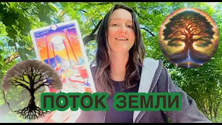 🌳дневник звёзд #12 #таро  : Поток Земли🌳