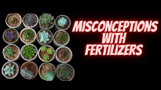 || MISCONCEPTIONS WITH ADDING FERTILIZERS TO SUCCULENTS  ||