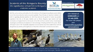 Conservation Conversations: Alistair McInnes - Birds of the Benguela Bounty (21 July 2020)