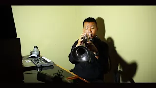 La Vie En Rose - Armstrong || Trumpet Solo || flugelhorn solo