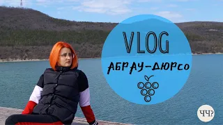 Vlog из Абрау-Дюрсо 2021 | Отдых и достопримечательности!|  Что читать? #отдых #книги #Vlog
