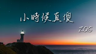 ZQS-小時候真傻【小時候真傻總是盼著快長大，在這個不完美的世界你快樂嗎】(動態歌詞 Lyrics)