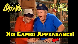 "Skipper" (Alan Hale Jr.) CAMEO as "Gilligan" from "Gilligan's Island" On Batman! What? Really?