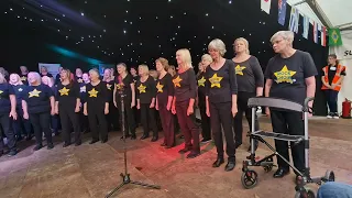 Rock Choir - Warrington Disability Awareness Day - Video Killed The Radio Star