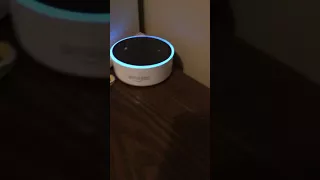 Alexa makes farting noises