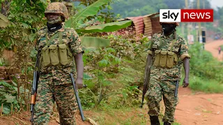 Uganda's Bobi Wine: 'The situation is desperate'
