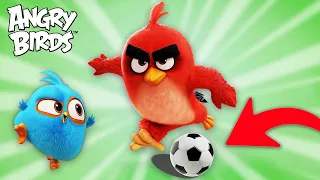 15 Minutes of Fun with Angry Birds Red!