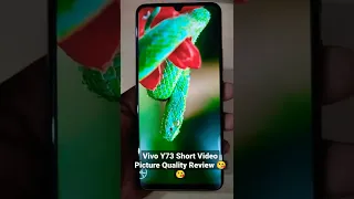 VIVO Y73 PICTURE QUALITY REVIEW 😘😘