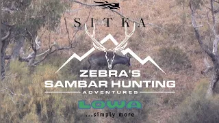 Backpack Sambar deer hunting (rare footage)