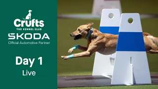 Day 1 LIVE | Crufts 2023