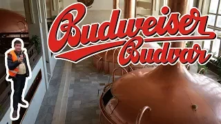 Как мы на Budweiser Budvar ходили. Экскурсия на пивоварню. Чешские заметки. Часть 4.