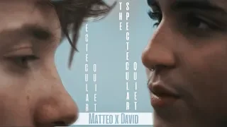 Matteo x David || The Spectacular Quiet [+ 3x10]