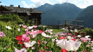 Urlaub auf dem Bauernhof in Südtirol - Roter Hahn: Unterschweig in Ulten