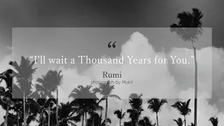 MokY JOURNEY TO LOVE - "I'll wait a Thousand Years for You" -  RUMI