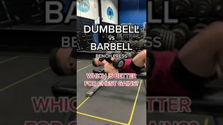 Dumbbell vs Barbell Bench Press: Which is Better? #shorts