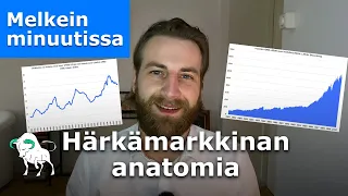 Erikoisjakso: Härkämarkkinan anatomia