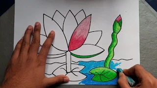 How To Draw Water Lily Flower || শাপলা ফুল আঁকা শিখুন ||  Kid's drawing idea || Easy way to draw
