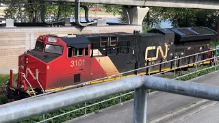(CN Side) Cumberland St Railway Crossing New Westminster BC (Description Updated)