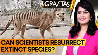 Gravitas: Scientists extract RNA from extinct Tasmanian tiger | WION
