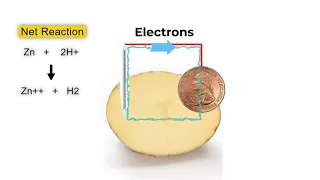 Science Explained: Potato Battery
