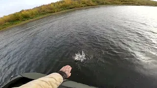 Первый спуск на воду аэролодки "Торнадо".